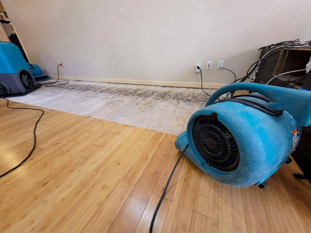 Professional Structural Drying technician working in Greenville, GA